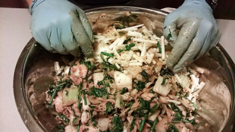 Kimchi Made with 'Hilton' Chinese Cabbage Image